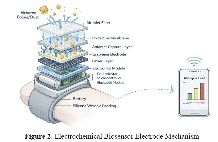 Electrochemical Biosensors for Allergen Detection in Atmosphere: An SDG-3 Driven Approach for Asthma Monitoring and Allergy Pattern Tracing 